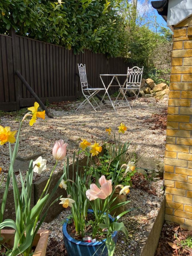 كاسل كاري Swallow Cottage المظهر الخارجي الصورة